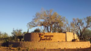 Homes for Sale in Sonoran Foothills